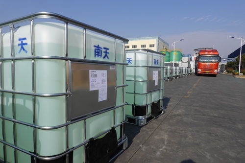 微山 漁船檢驗實行上門服務(wù)