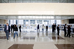 鐵嶺市啟動 愛鳥周 野生鳥類攝影展覽