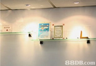 藝風(fēng)教育協(xié)會(huì)提供燈光攝影課程,數(shù)碼攝影課程,人像攝影課程等服務(wù)