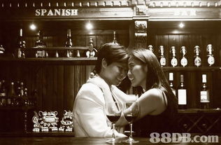 寵物咖啡館攝影優惠攻略 一站式捕捉萌寵溫馨瞬間