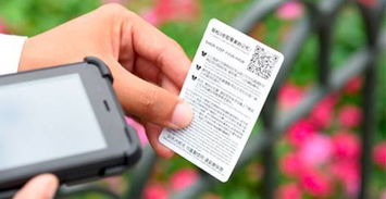 迪士尼城堡前的完美瞬間，即刻留影服務